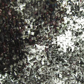 Silver/Black Fancy Sequin on Mesh
