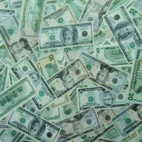 Multi-Colored Money Print on Polyester Mesh