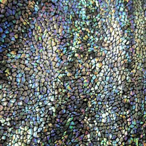 Silver Holographic Avatar Metallic Foil on Nylon Spandex