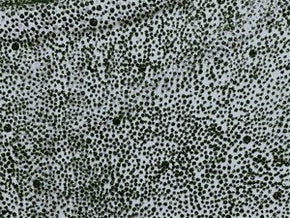 Black Fancy Glu Glitter Fabric