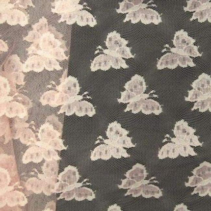 Butterfly Prints
