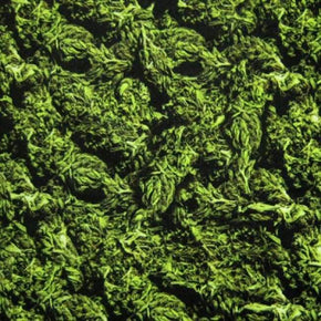 Multi-Colored Marijuana Print on Nylon Spandex