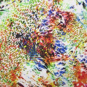 Multi-Colored Bright Animal Print Collage on Polyester Spandex
