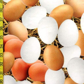Multi-Colored Eggs Print on Polyester Spandex