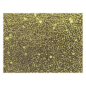  Yellow Fancy Glitter Dot Sequin on Tulle Mesh