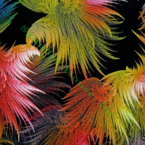 Multi-Colored Feather Print on Polyester Spandex