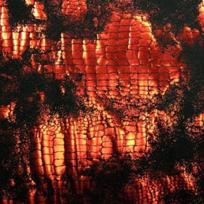  Red/Black Fossil Foil on Nylon Spandex