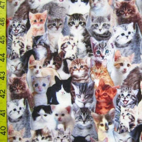 Multi-Colored Kittens Print on Polyester Spandex