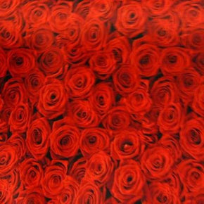  Red Rose Floral Roses Printed Scuba Neoprene