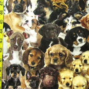 Multi-Colored Puppies Print on Polyester Spandex