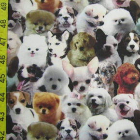 Multi-Colored Puppies Print on Polyester Spandex