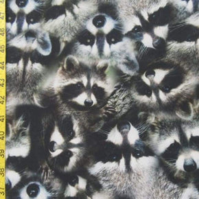 Multi-Colored Raccoons Print on Polyester Spandex