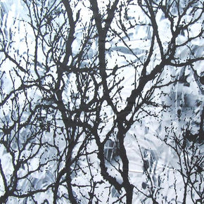Black/Baby Blue Winter Woods Print on Spandex