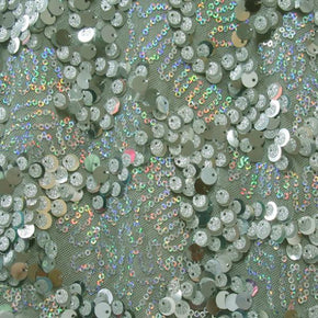  Silver Fancy Shiny Holographic Sequins on Mesh