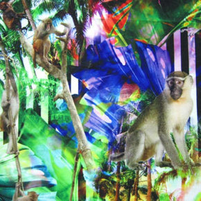 Multi-Colored Monkeys on Splash Print on Polyester Spandex