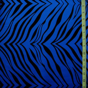  Royal Zebra Print on Nylon Spandex
