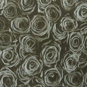  Black Rose Printed Mesh 