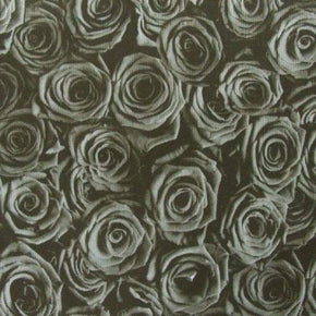  Silver Rose Printed Mesh 