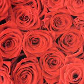 Red Rose Print Fabric