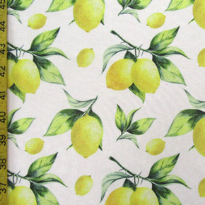 Multi Color Lemon Print Fabric
