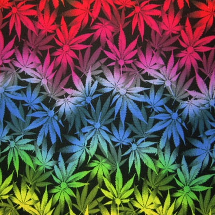Cannabis