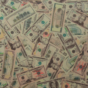 Multi Color Money Print Fabric