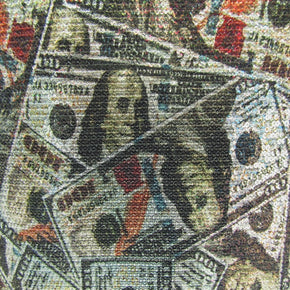 Multi Color Money Print On Mesh Fabric